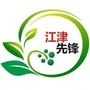 江津先锋ico