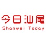 今日汕尾公众号ico