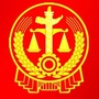晋源法院ico