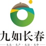 九如长春ico