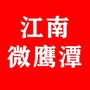 江南微鹰潭ico