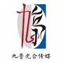 九普光合ico