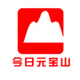 今日元宝山ico