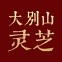 大别山灵芝公众号ico
