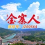 金寨人公众号ico