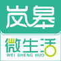 岚皋微生活ico