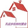 安徽孔店松林村村委会ico