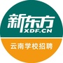 云南新东方招聘ico