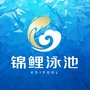 锦鲤泳池ico