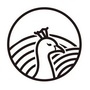 孔雀说ico