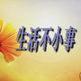 生活不小事ico