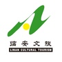 临安文旅发布ico