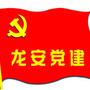 龙安党建ico