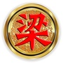 天下梁姓一家亲ico