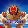 辽河公安ico