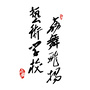 荔舞飞扬艺术学校公众号ico