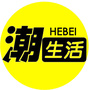 河北潮生活ico
