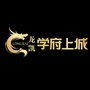 龙凯学府上城ico