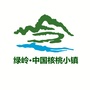 绿岭核桃小镇公众号ico