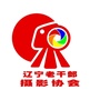 辽宁老干部摄影协会 sico