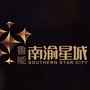 鲁能南渝星城ico