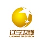 辽宁卫视ico