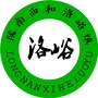 陇南西和洛峪镇ico