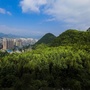 六盘水市林业局ico
