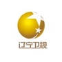 辽宁卫视广告部ico