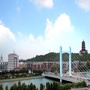 龙山零距离ico