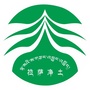 拉萨市净土公司ico