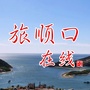 旅顺口在线ico