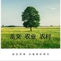 龙文农业农村ico