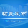 临夏发布ico
