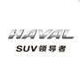 辽阳东鑫哈弗SUV4S店ico