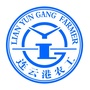连云港农工ico