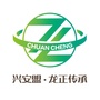 龙正传承文化ico