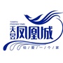 天昱凤凰城ico