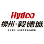 柳州毅德城ico