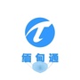 缅甸通ico