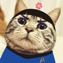 星座喵ico