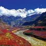 西藏米林文旅ico