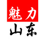 魅力山东ico