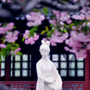 南京莫愁湖景区ico