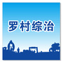 罗村综治ico