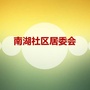 南湖社区居委会ico