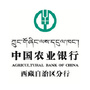 中国农业银行西藏自治区分行ico