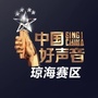 中国好声音琼海赛区组委会公众号ico