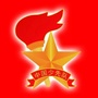 宁夏少先队ico
