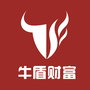 牛盾财富ico